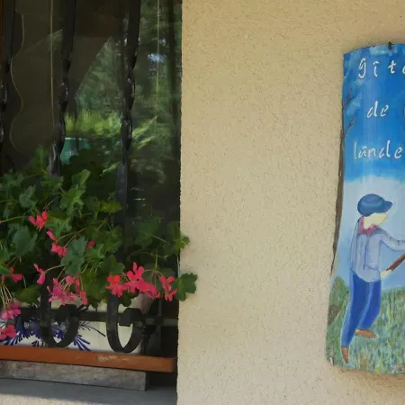Pissos, 2 Pièces, 2 Personnes - Fr-1-360-315 Hébergement de vacances Pissos