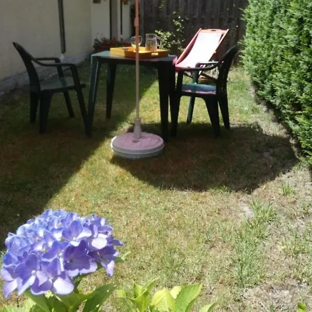 Hébergement de vacances Pissos, 2 Pièces, 2 Personnes - Fr-1-360-315 *
